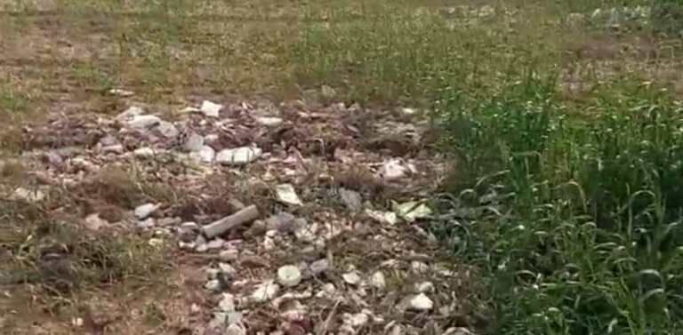 خطری به نام پسماند عفونی و خانگی در زمینهای کشاورزی گناوه