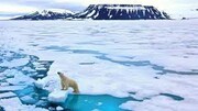 رقابت چین با روسیه در ساخت یخ شکن های فوق سنگین  