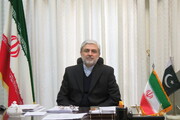 Islamic Revolution opened window of hope for world's freedom seekers: Iran envoy