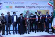 دو نمایشگاه تخصصی کشاورزی در شیراز گشایش یافت