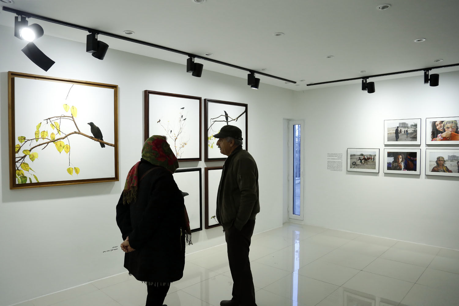 هفتهای با حضور نامداران هنرهای تجسمی در نمایشگاههای گروهی