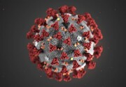 ویروس جهش یافته جدید کرونا در سرزمین‌های اشغالی شناسایی شد 