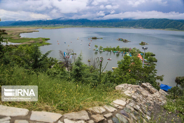 گونه پالونیا عامل تخریب پیادهروهای حاشیه زریبار مریوان