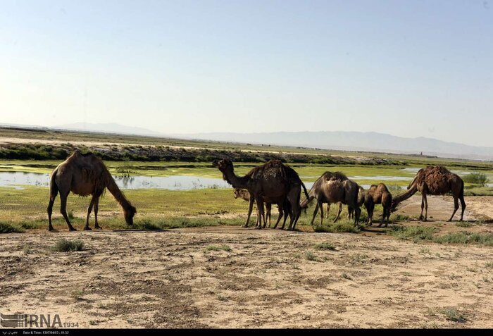 هوای پاک و زمین سالم مطالبه البرزنشینان از دولت سیزدهم 