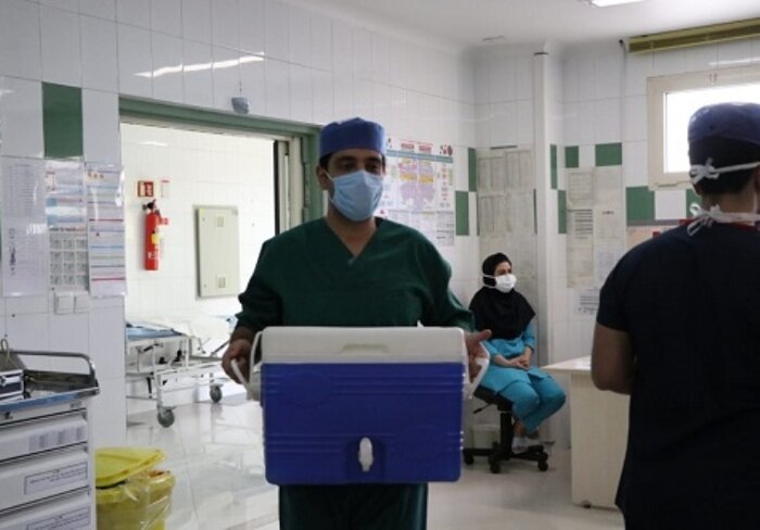 اهدای عضو، حکایتی زیبا از تناقض مرگ و حیات