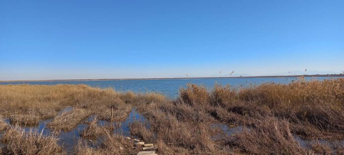 تالابهای سهگانه گلستان گرفتار خشکسالی و برداشت بی رویه منابع آب