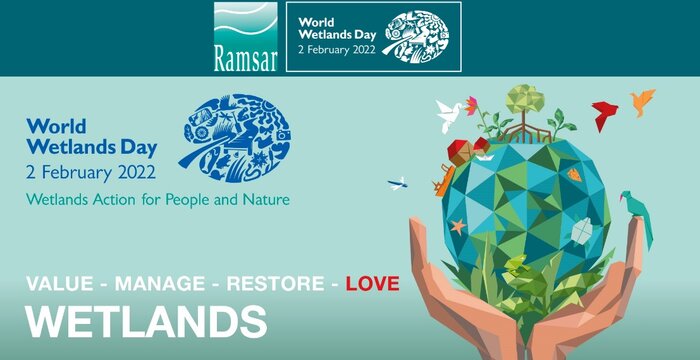 مدیریت زیستبومی ؛ نسخه شفابخش تالابها