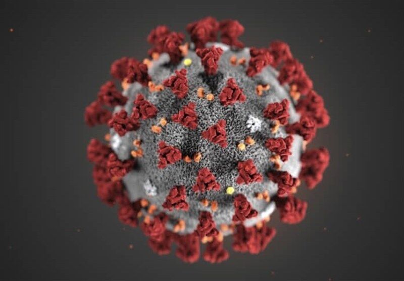 ویروس جهش یافته جدید کرونا در سرزمین‌های اشغالی شناسایی شد 