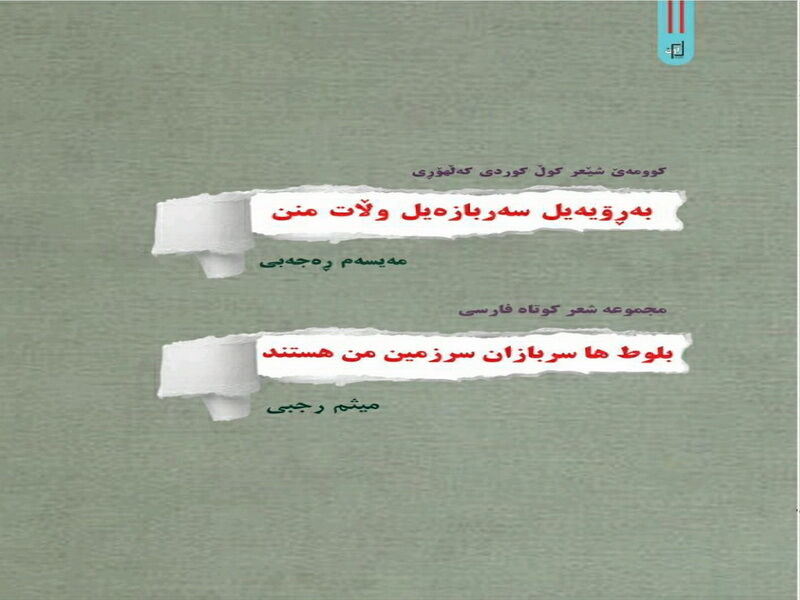 کتاب «بلوط‌ها سربازان سرزمین من هستند» اثر «میثم رجبی» منتشر شد