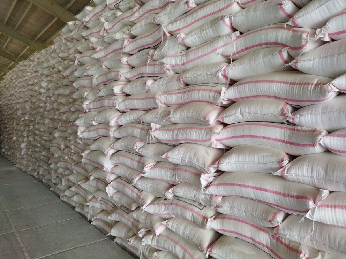 دغدغهای برای تامین کود کشاورزی در گلستان وجود ندارد دغدغهای برای تامین کود کشاورزی در گلستان وجود ندارد