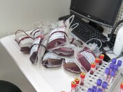 اهدای خون در گیلان پارسال ۸ درصد افزایش یافت