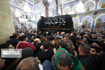 Procession of Grand Ayatollah Saafi Golpaygani in Iraq's Najaf & Karbala