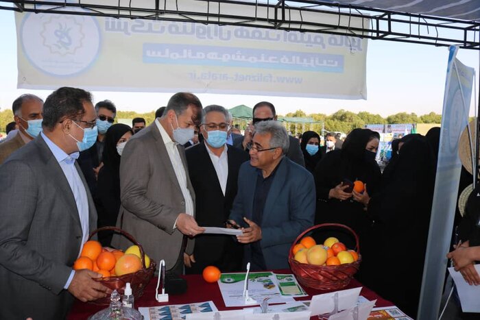 رییس کمیسیون اقتصادی مجلس: پیگیر توسعه صادرات از طریق دیپلماسی اقتصادی هستیم