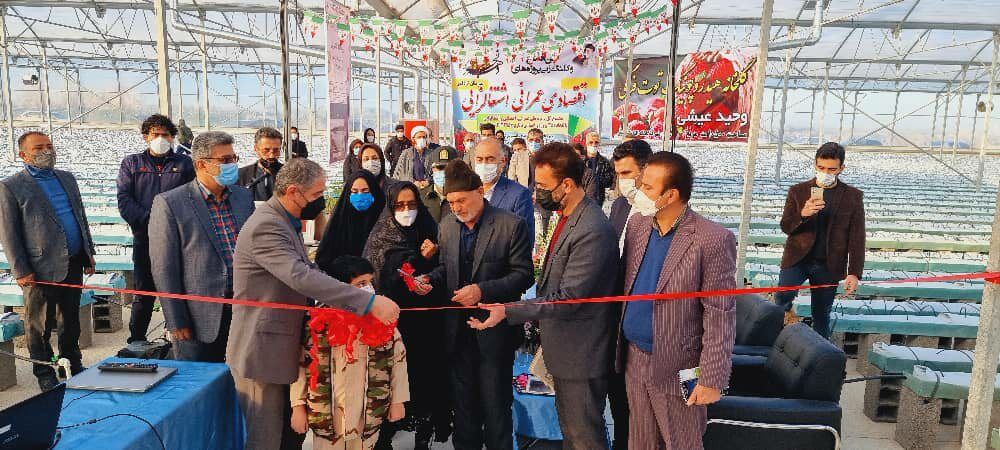 ۴۵ نفر با بهرهبرداری شهرک گلخانه النگ کردکوی مشغول به کار شدند ۴۵ نفر با بهرهبرداری شهرک گلخانه النگ کردکوی مشغول به کار شدند