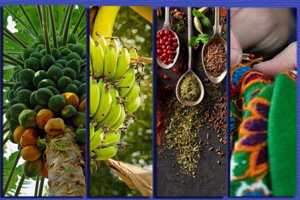 نمایشگاه گردشگری روستایی بخش پیرسهراب چابهار ۲۰ بهمن‌ماه برگزار می‌شود