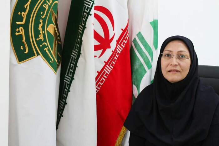 لاستیکسوزی کشاورزان، علت آلودگی شدید هوای کرمان اعلام شد