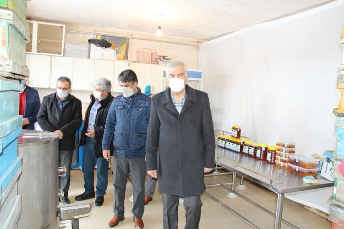 ۵۳ میلیارد ریال طرح توسعه برق در تکاب به بهرهبرداری رسید