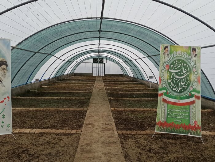 نخستین گلخانه کشت گیاهان دارویی گلستان به بهرهبرداری رسید