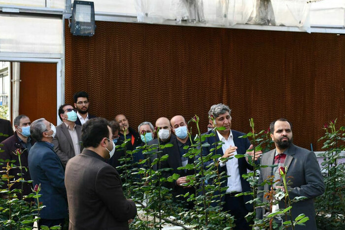 ۲۵۰ هکتار مجتمع گلخانهای در استان اردبیل در دست ساخت است