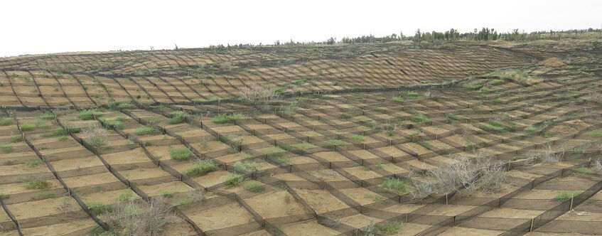 تنها ۳۵ درصد عرصه‌های بیابانی خوزستان کنترل شده است