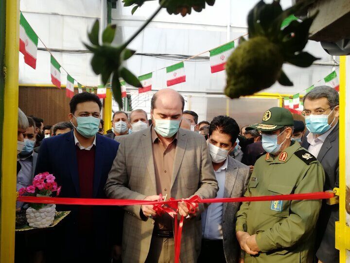 چند طرح عمرانی و کشاورزی در شهرستان ری به بهره برداری رسید چند طرح عمرانی و کشاورزی در شهرستان ری به بهره برداری رسید