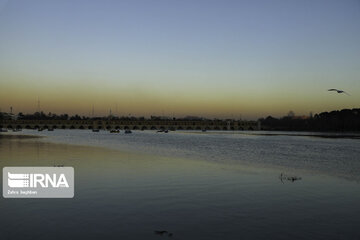 Migratory birds over Zayandeh-Rood River in central Iran