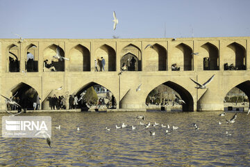 Migratory birds over Zayandeh-Rood River in central Iran