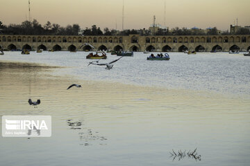 Migratory birds over Zayandeh-Rood River in central Iran