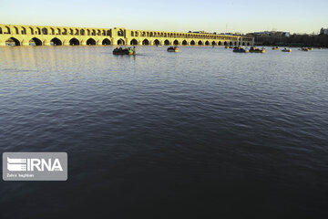 Migratory birds over Zayandeh-Rood River in central Iran