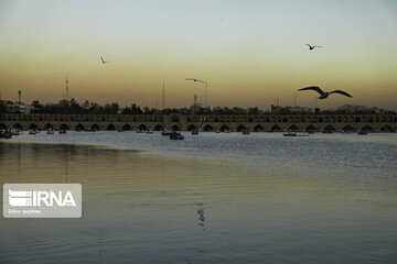 Migratory birds over Zayandeh-Rood River in central Iran