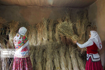 Le renouveau des arts de tissage dans la province de Golestan