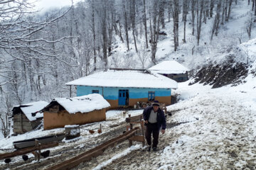 افتتاح طرح برق رسانی به روستای چالنخوار رضوانشهر