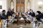 ایران اور فن لینڈ نے ویانا مذاکرات کے نتائج کی ضرورت پر زور دیا