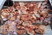 ۲۵۰ کیلوگرم مواد خام دامی غیر قابل مصرف در زنجان توقیف شد