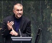 Iran FM calls for gov't-parliament coop to nullify sanctions