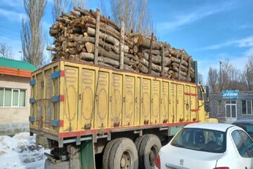 ۱۰۰ تُن چوب قاچاق در مهاباد ضبط شد