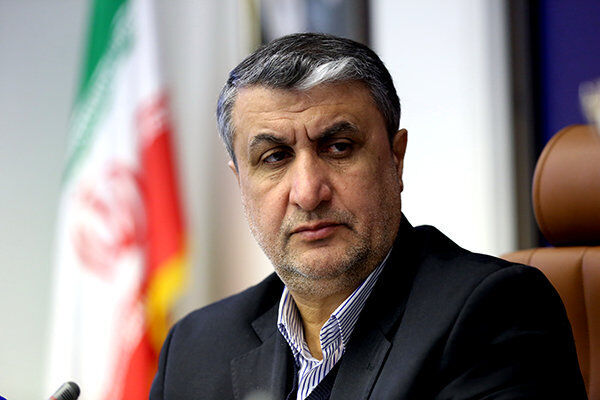 رئیس سازمان انرژی اتمی: تلاش دولت به نتیجه رسیدن زودهنگام طرحهای نطنز و بادرود است
