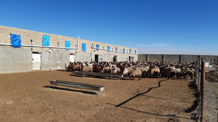 هشت طرح روستایی با حدود ۱۰ میلیارد ریال اعتبار در شهرستان فامنین افتتاح شد