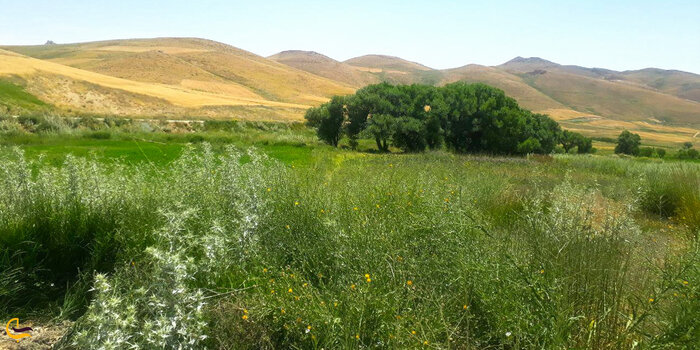 ۱۰ مقصد رؤیایی برای سفر یکروزه