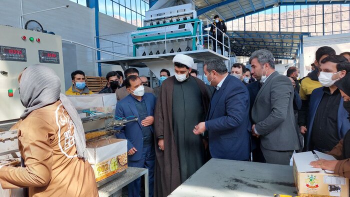 کارخانه فرآوری کشمش ملایر با ۱۰ میلیارد تومان اعتبار به بهرهبرداری رسید