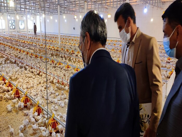 ۱۲ طرح در کشکوئیه رفسنجان افتتاح شد