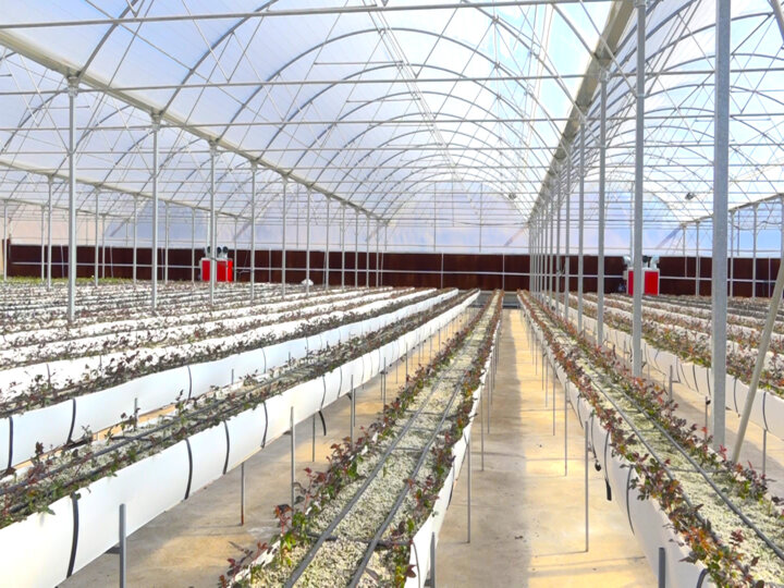 پیگیری ایجاد پایانه صادراتی کشاورزی در منطقه ویژه اقتصادی تاکستان