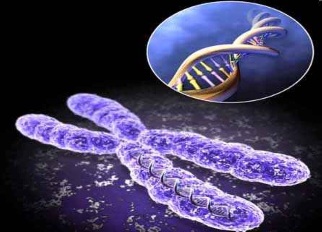 نمایشگاه مجازی  سلول های بنیادی کشور در البرز گشایش یافت