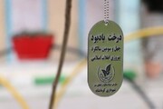 بوستان انقلاب با کاشت ۴٣ نهال در شهرداری کرمانشاه احداث شد