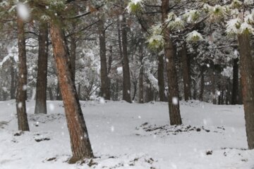 بارش برف در ارومیه