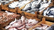 ۳۱۳ تُن ماهی منجمد از کردستان به روسیه صادر شد