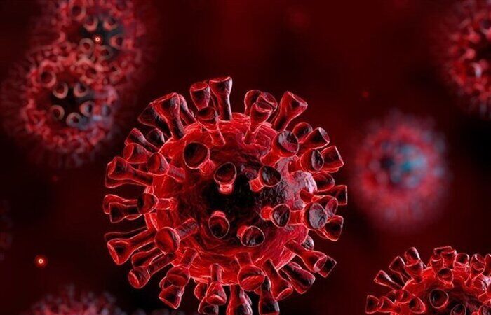 23 بهمن ماه و آخرین خبرهای کرونایی استانها