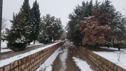 برف و باران برای روزهای آغازین اسفند در فارس پیش‌بینی شد
