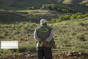 همیاران طبیعت کردستان در ۵۷ تشکل ساماندهی شدند
