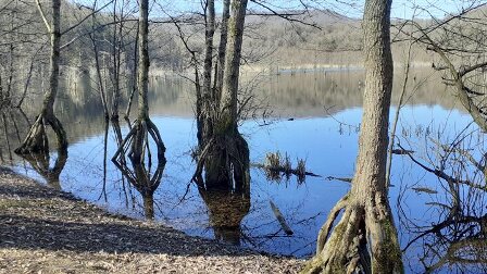 پایش زیستگاههای وزغ تالشی در حوزه دریای خزر آغاز شد